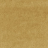 Kravet BASICS 33299 4 Fabric