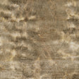 Kravet VIBRANT HONEY Upholstery Fabric