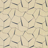 Kravet DIVERGING INDIGO Fabric