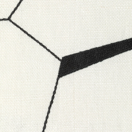 Kravet DIVERGING EBONY Fabric