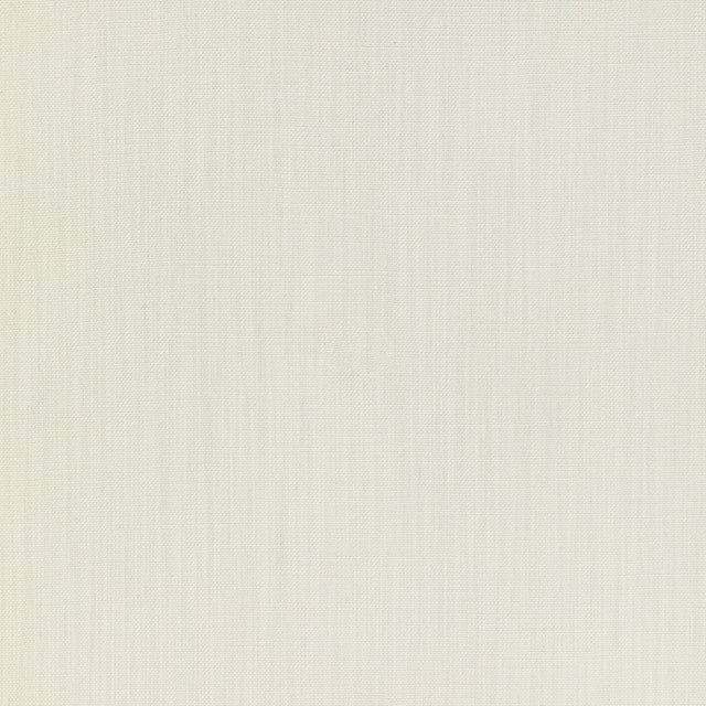 Kravet BASICS 36055 1 Fabric