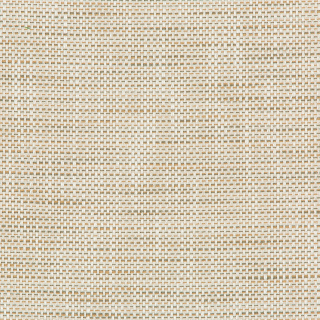 Kravet DESIGN 36082 161 Upholstery Fabric