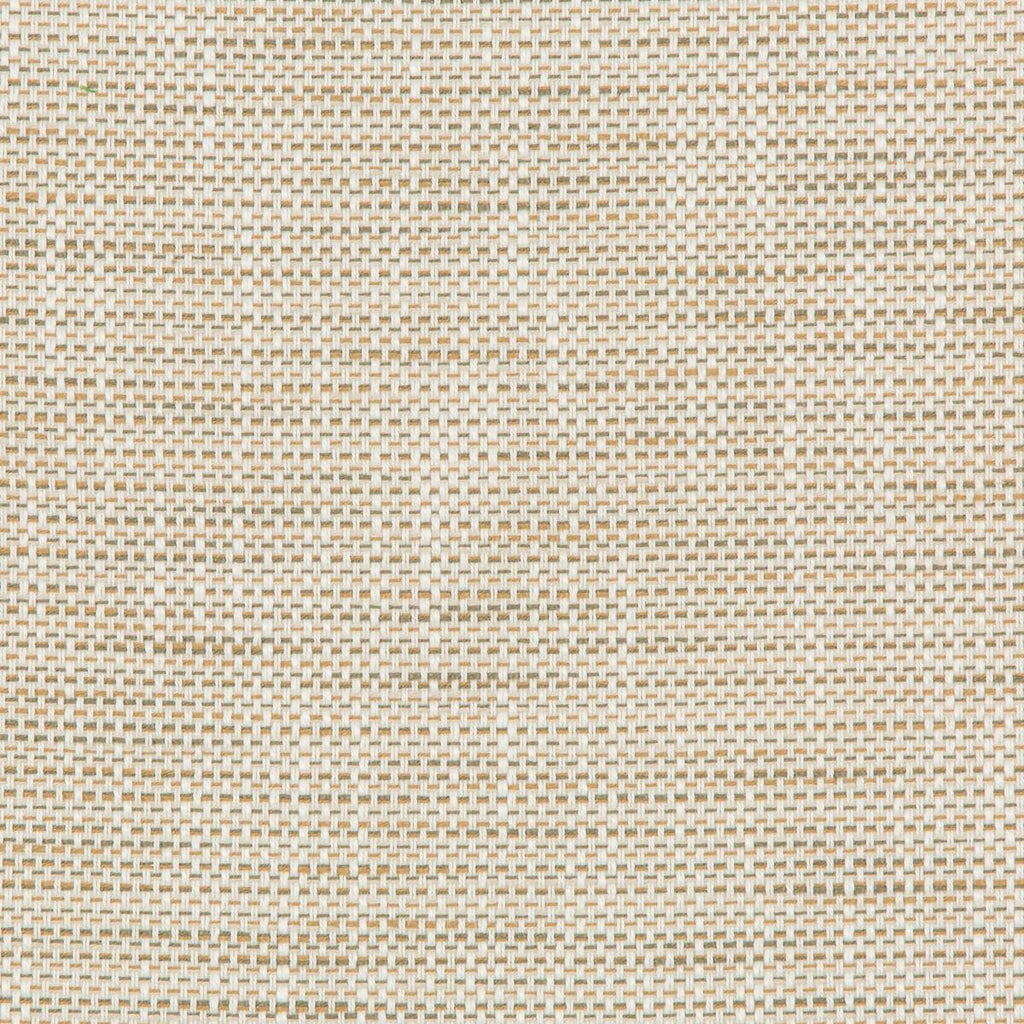 Kravet KRAVET DESIGN 36082-161 Fabric