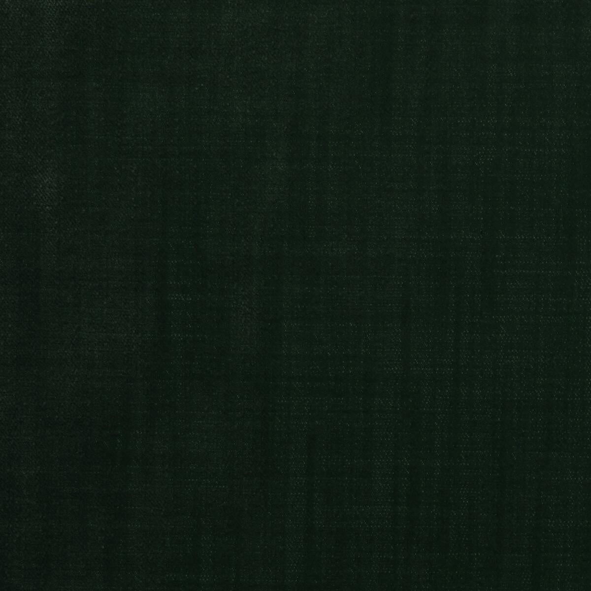 Kravet 36096 3 Fabric