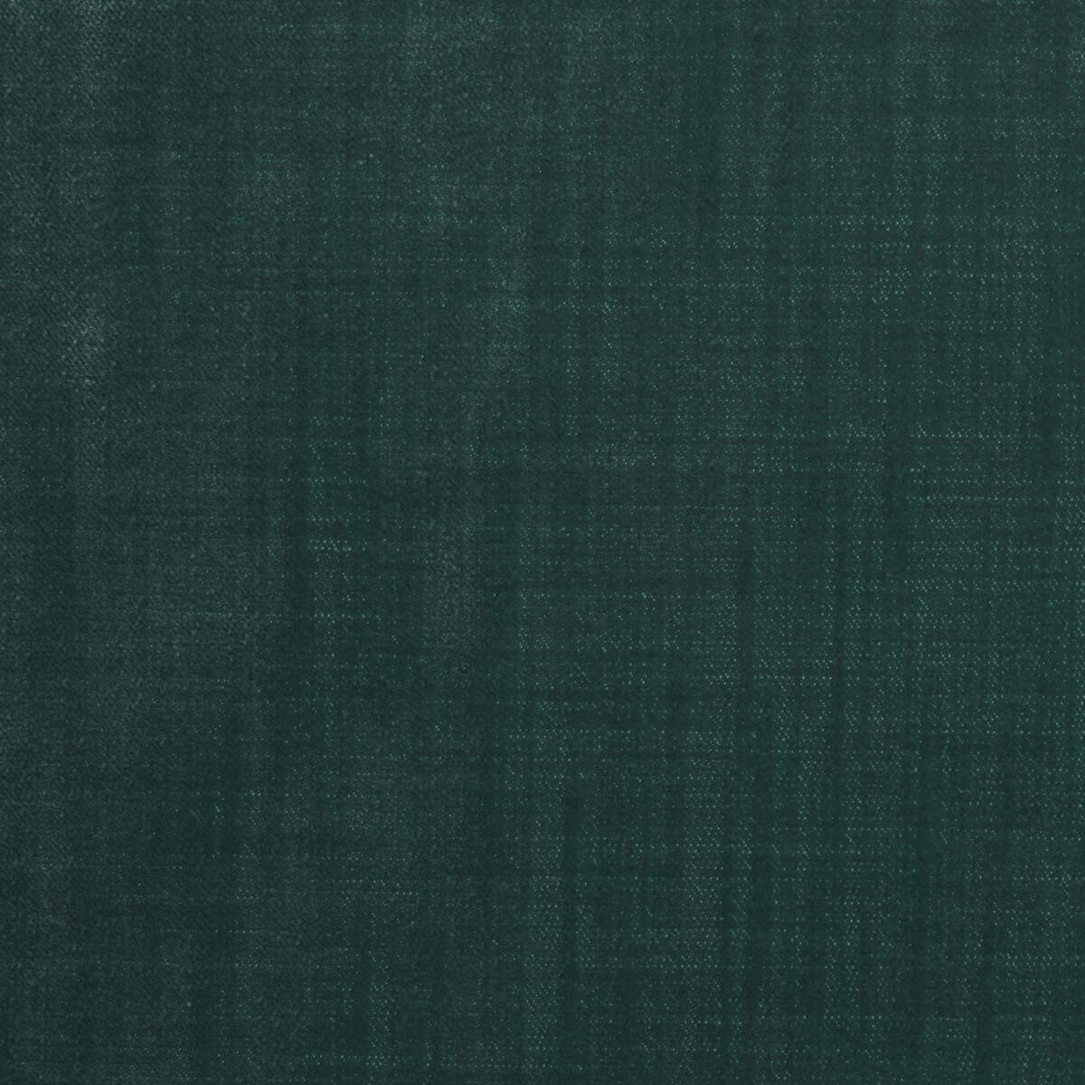 Kravet 36096 35 Fabric