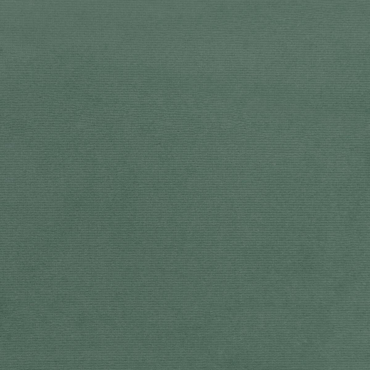 Kravet 36111 13 Fabric