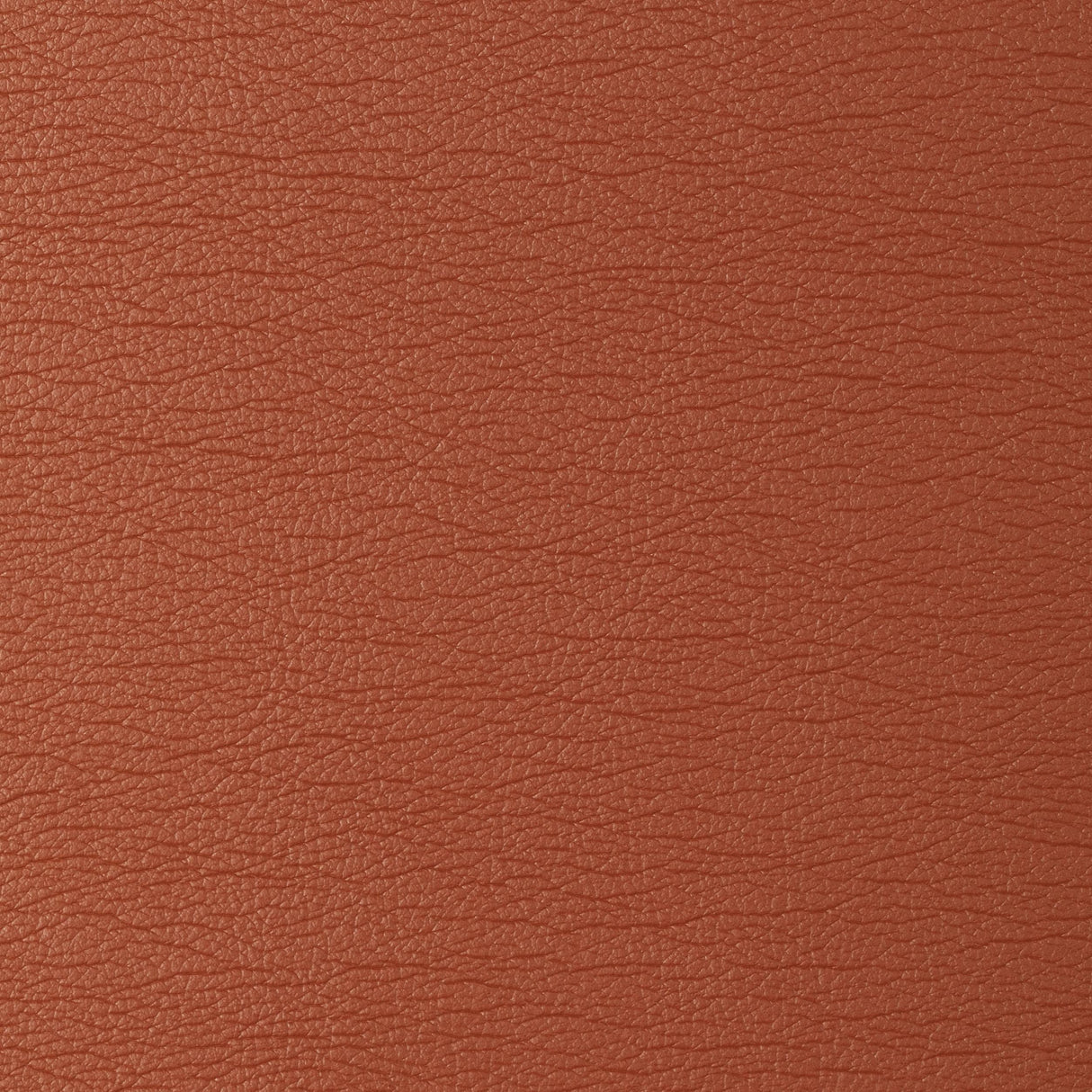Kravet DESIGN GATO 12 Upholstery Fabric