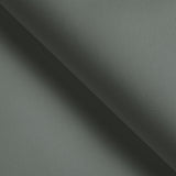 Kravet DESIGN GATO 2111 Upholstery Fabric