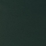 Kravet DESIGN GENSLAR 35 Upholstery Fabric