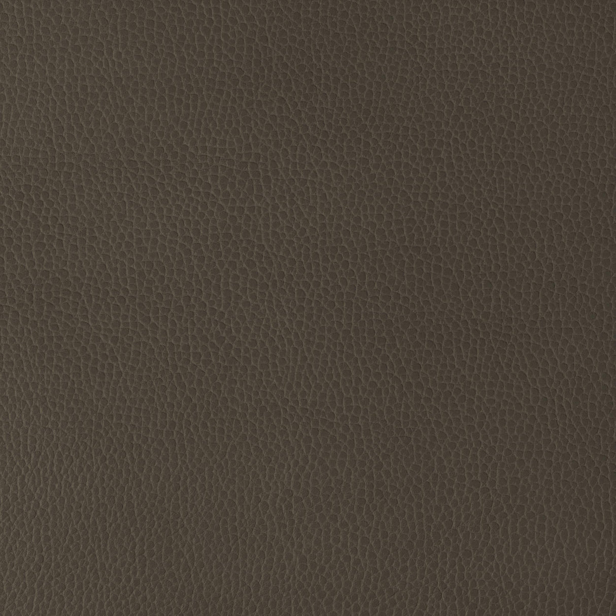 Kravet DESIGN GILLIAN 6666 Upholstery Fabric