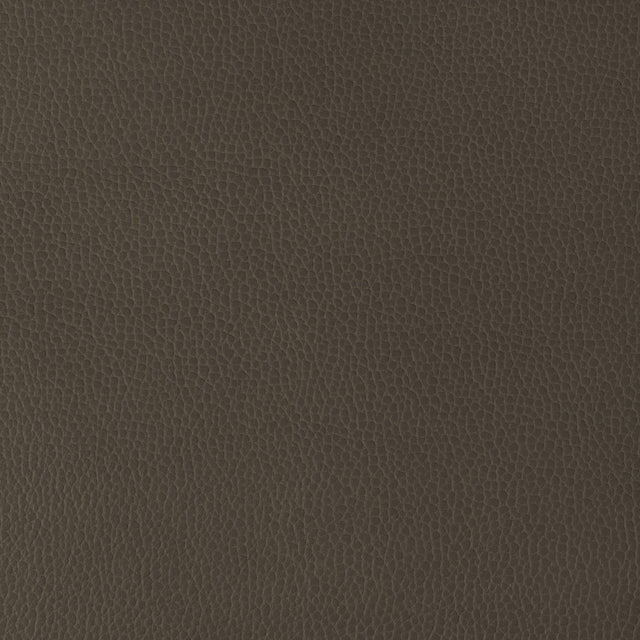 Kravet DESIGN GILLIAN 6666 Upholstery Fabric