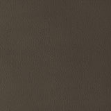 Kravet DESIGN GILLIAN 6666 Upholstery Fabric