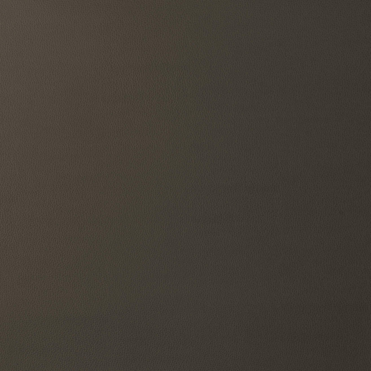 Kravet DESIGN GILLIAN 6666 Upholstery Fabric