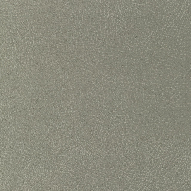 Kravet DESIGN GLENDALE 1121 Upholstery Fabric
