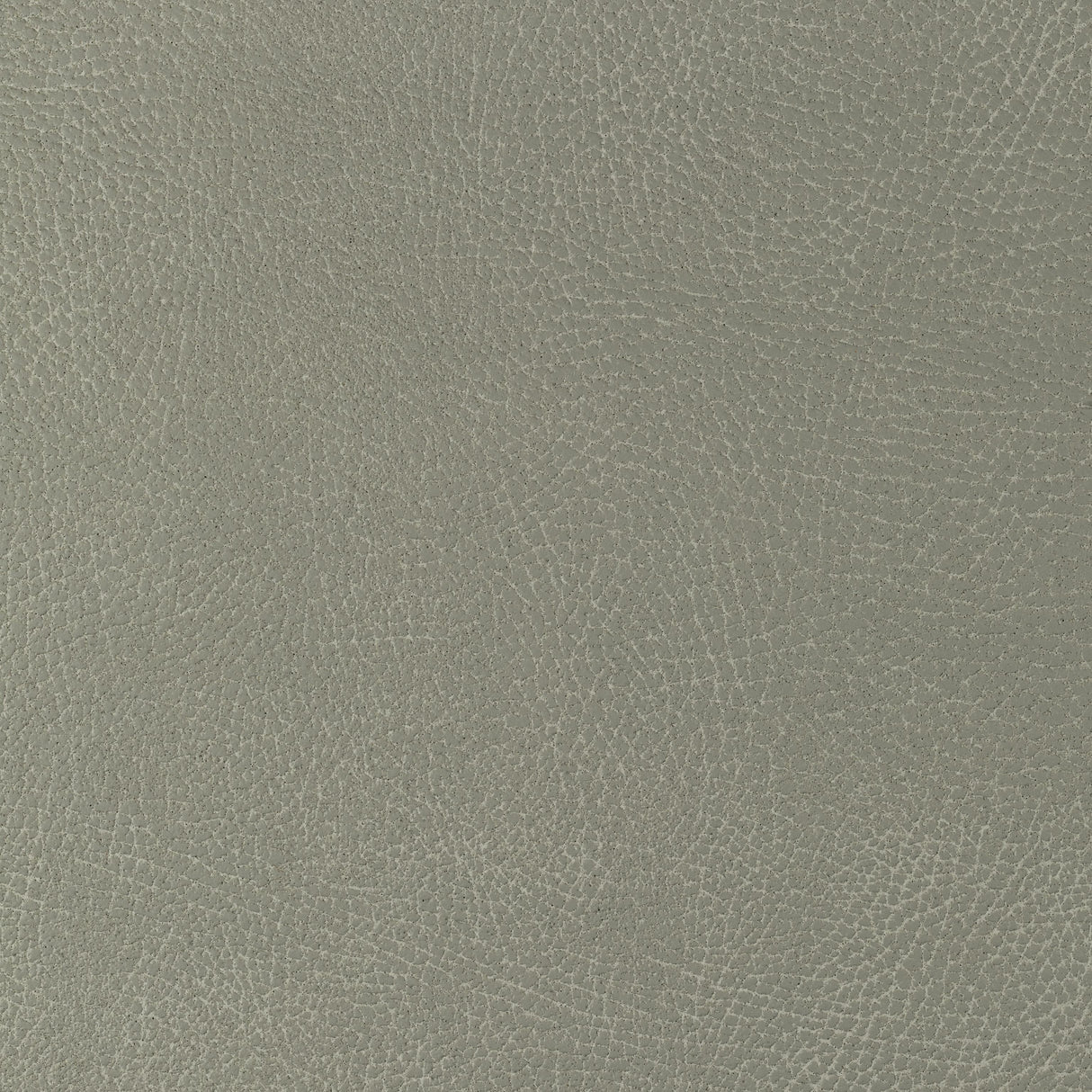 Kravet DESIGN GLENDALE 1121 Upholstery Fabric