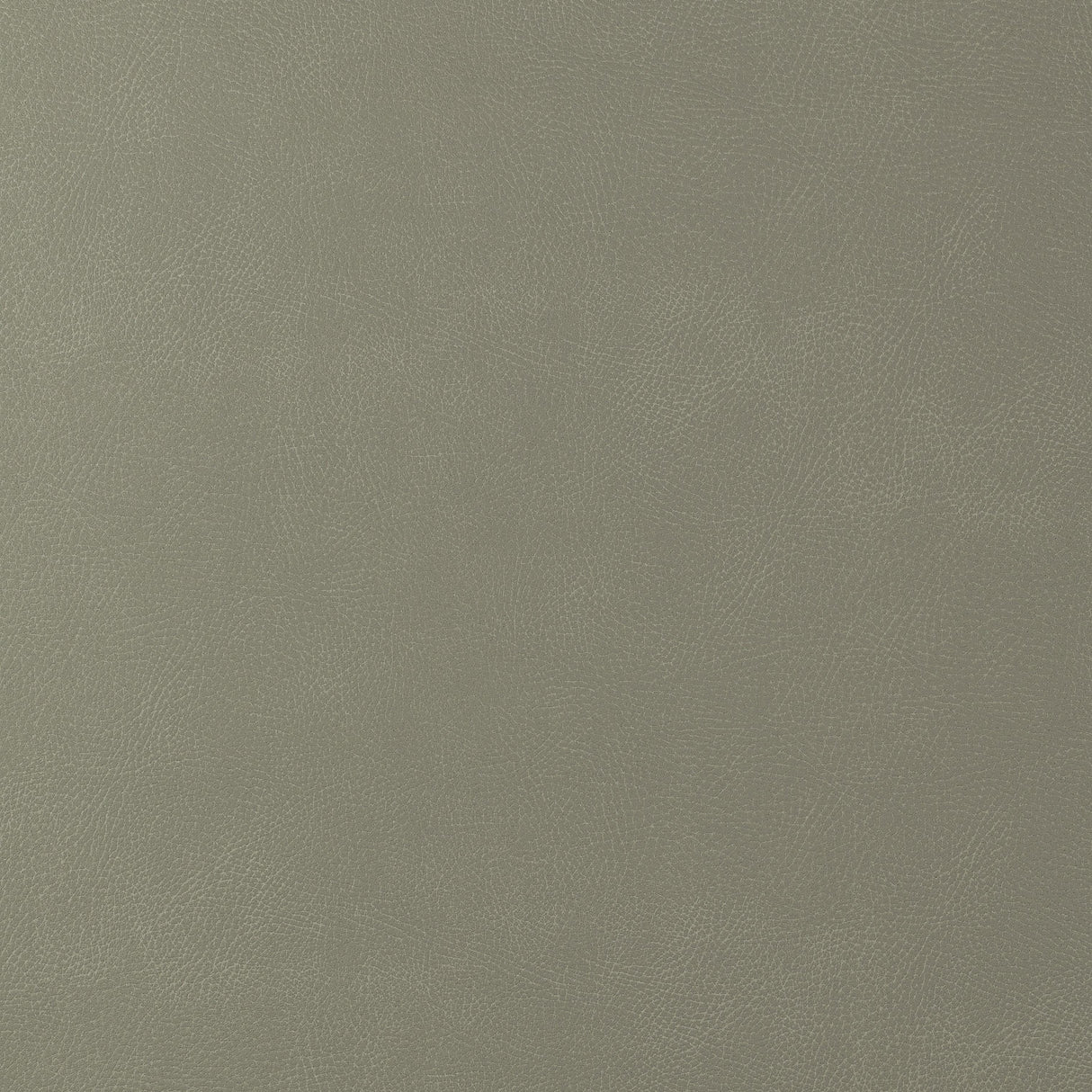 Kravet DESIGN GLENDALE 1121 Upholstery Fabric