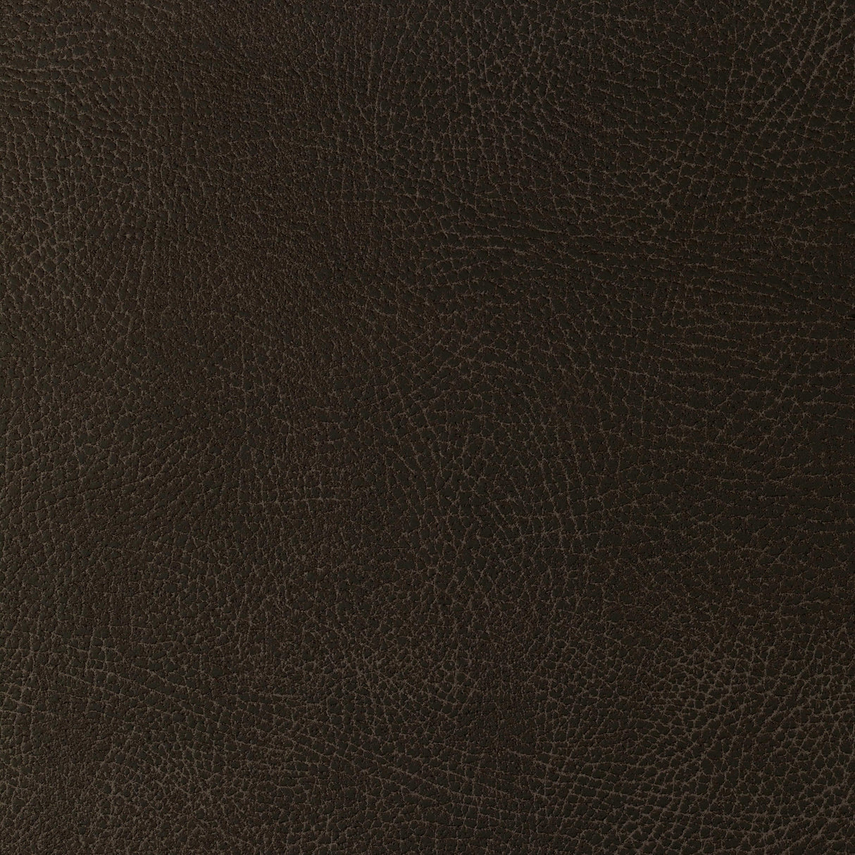 Kravet DESIGN GLENDALE 1666 Upholstery Fabric