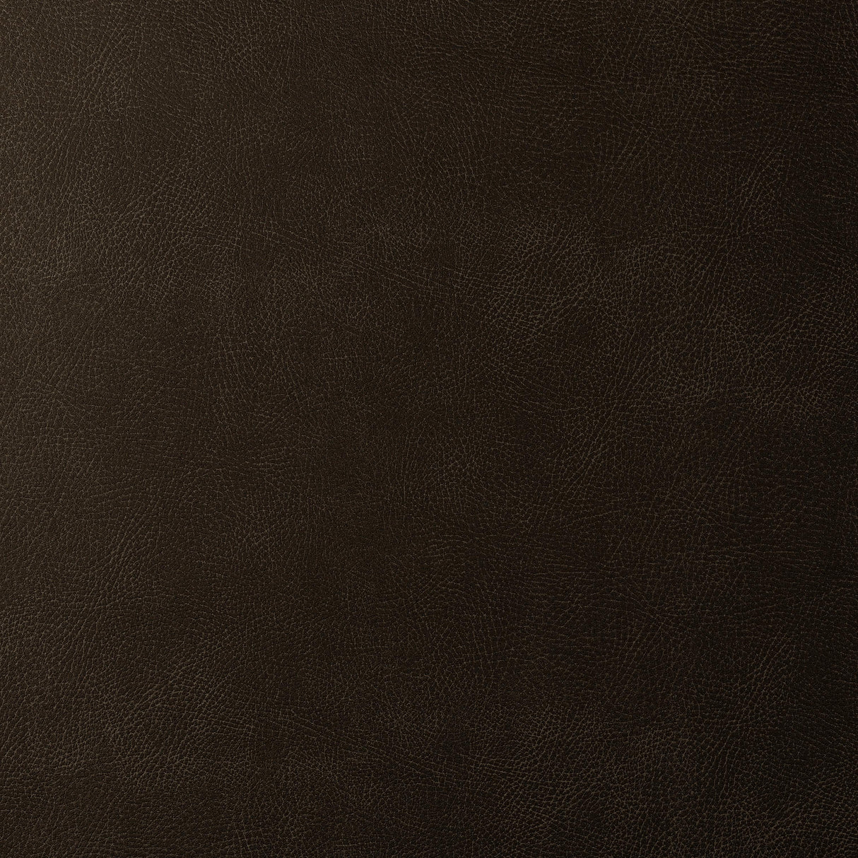 Kravet DESIGN GLENDALE 1666 Upholstery Fabric