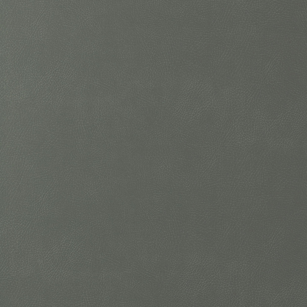 Kravet DESIGN GLENDALE 2112 Upholstery Fabric
