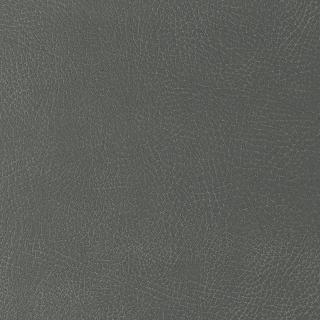 Kravet DESIGN GLENDALE 2112 Upholstery Fabric