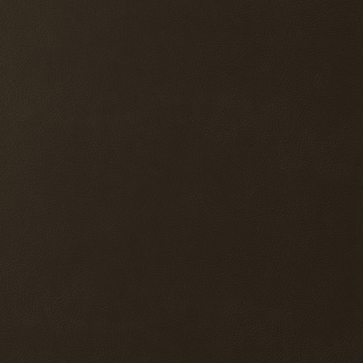 Kravet DESIGN GLENDALE 6166 Upholstery Fabric