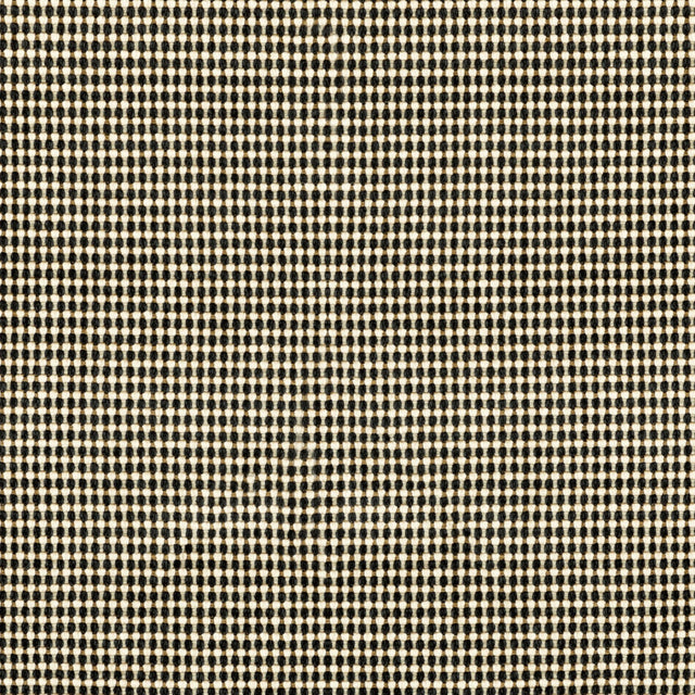 Lee Jofa RISUS NIGHT SKY Upholstery Fabric