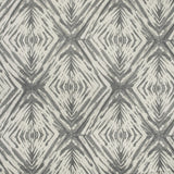 Kravet ISLAND DYE PLATINUM Fabric