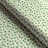 Kravet BASICS JUNGLEIKAT 3 Fabric