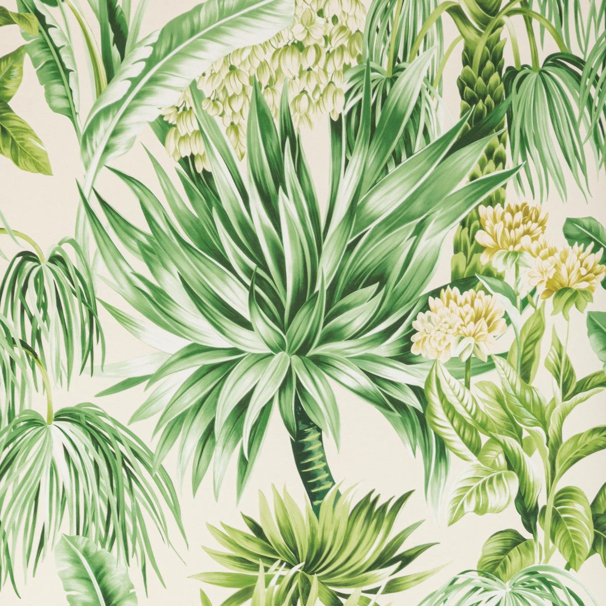 Lee Jofa CALUYA PAPER PALM Wallpaper