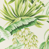 Lee Jofa CALUYA PAPER PALM Wallpaper