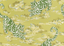 Lee Jofa BONGOL PAPER KIWI Wallpaper