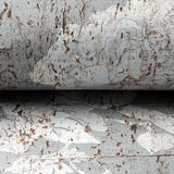 Brunschwig & Fils LES PIVOINES GREY Wallpaper