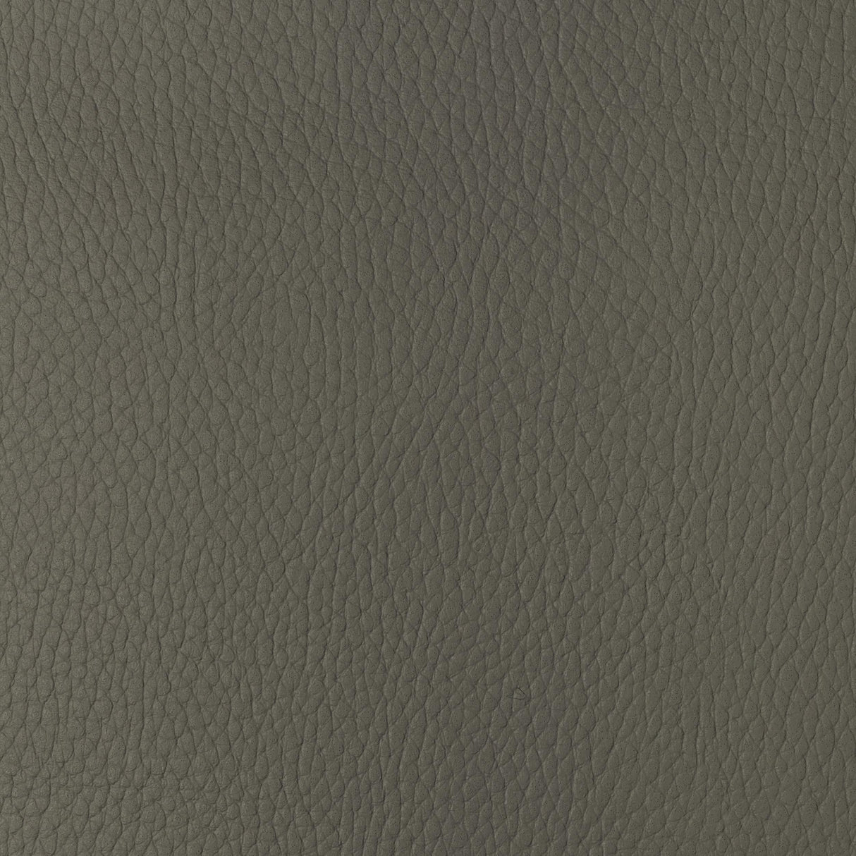 Kravet DESIGN SUGARMAPLE 11 Upholstery Fabric