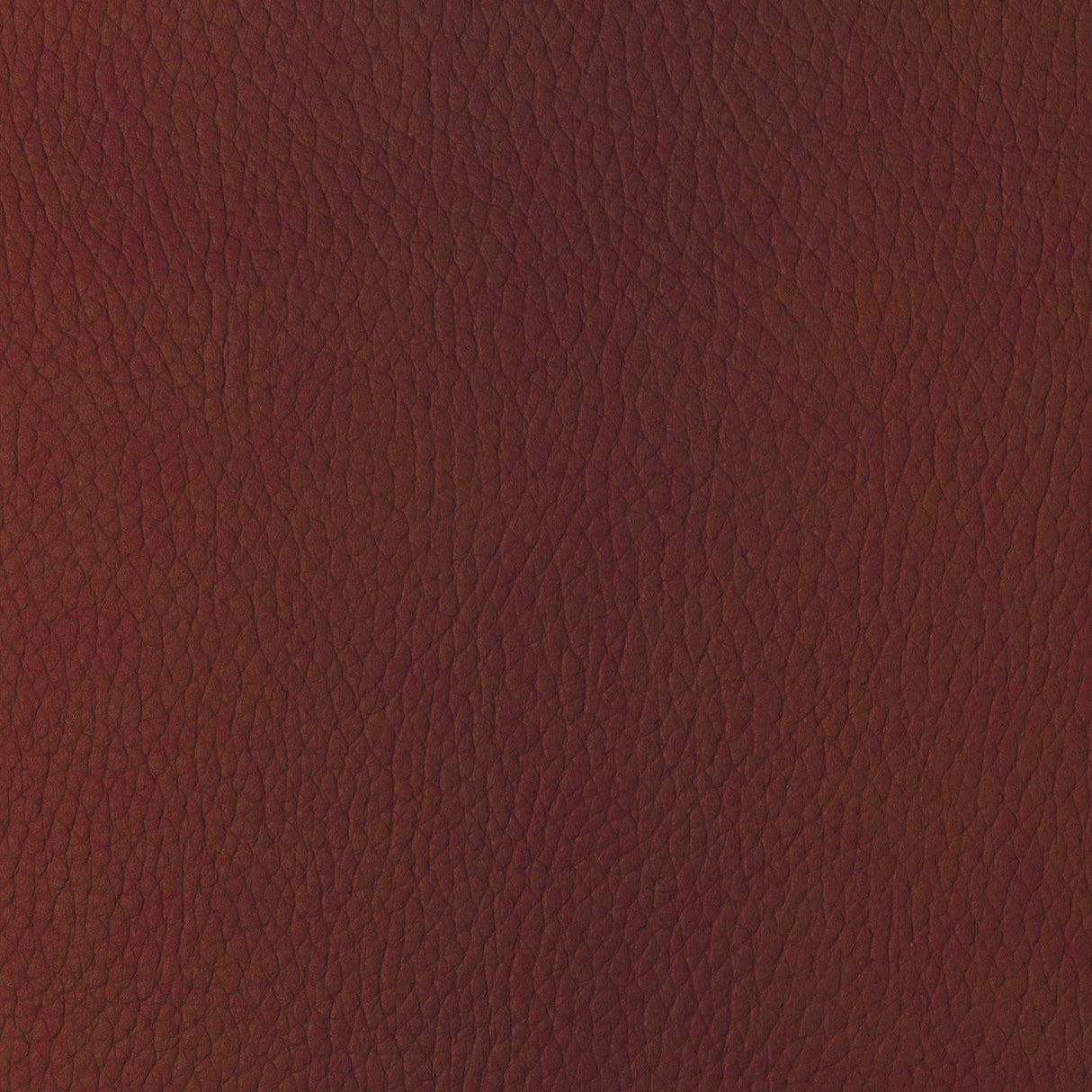 Kravet DESIGN SUGARMAPLE 19 Upholstery Fabric