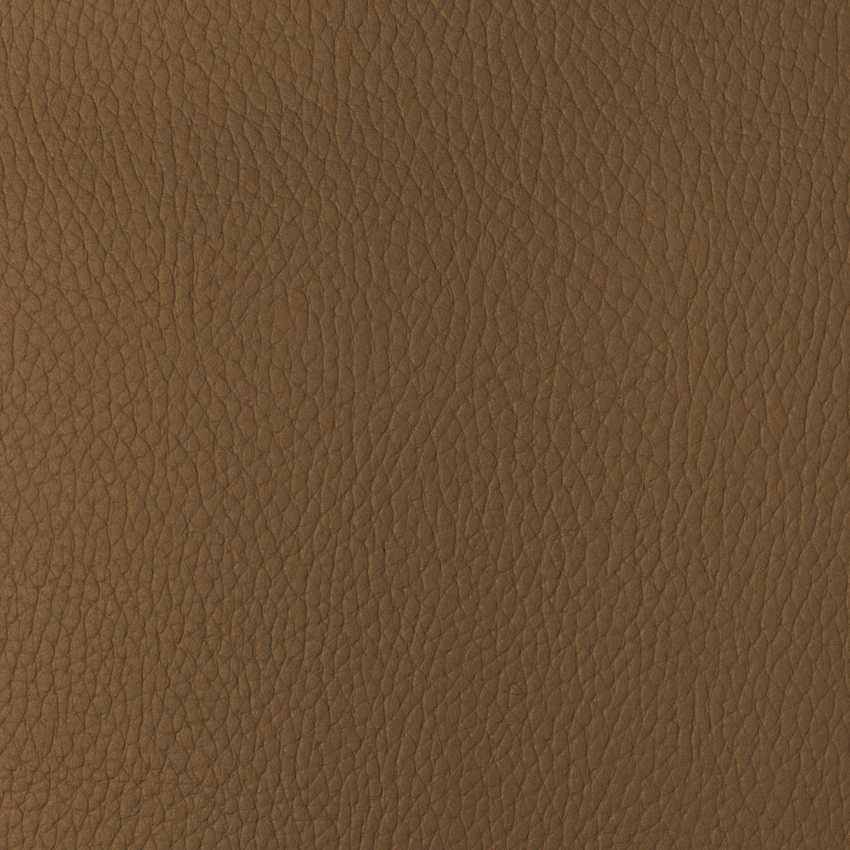 Kravet DESIGN SUGARMAPLE 4 Upholstery Fabric