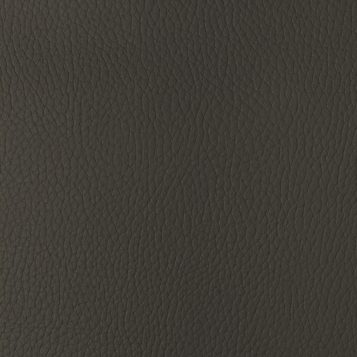 Kravet DESIGN SUGARMAPLE 6 Upholstery Fabric