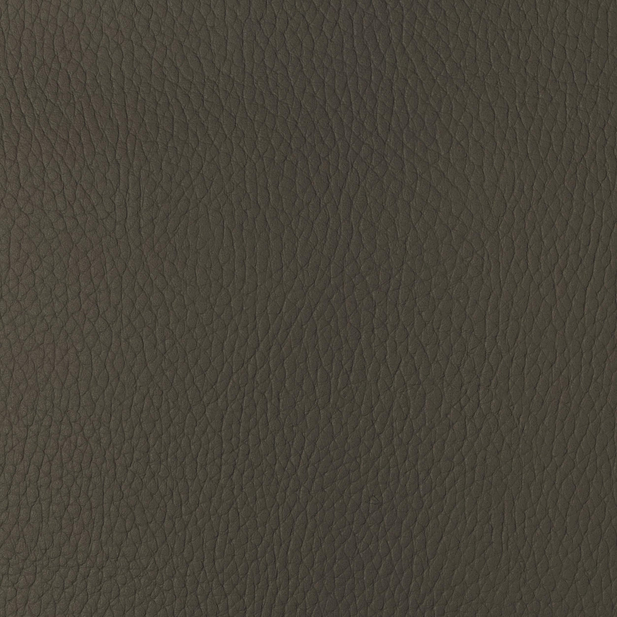 Kravet DESIGN SUGARMAPLE 616 Upholstery Fabric