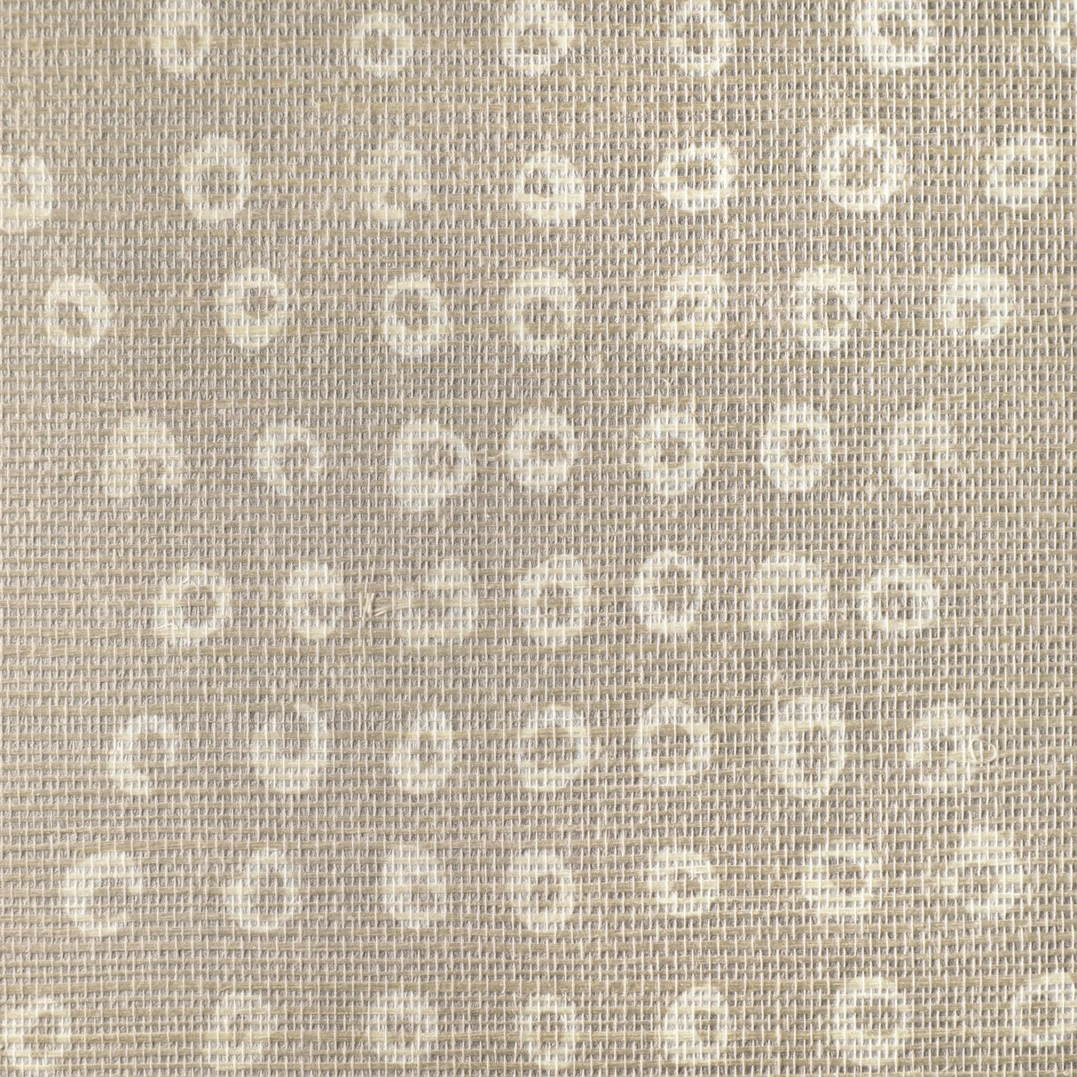 Kravet PUKA BLUSH Wallpaper