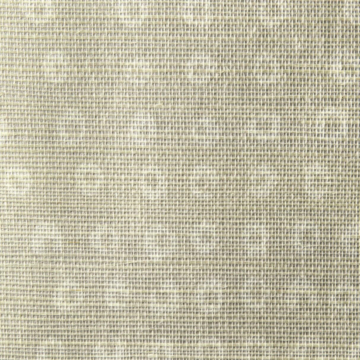 Kravet PUKA FLAX Wallpaper