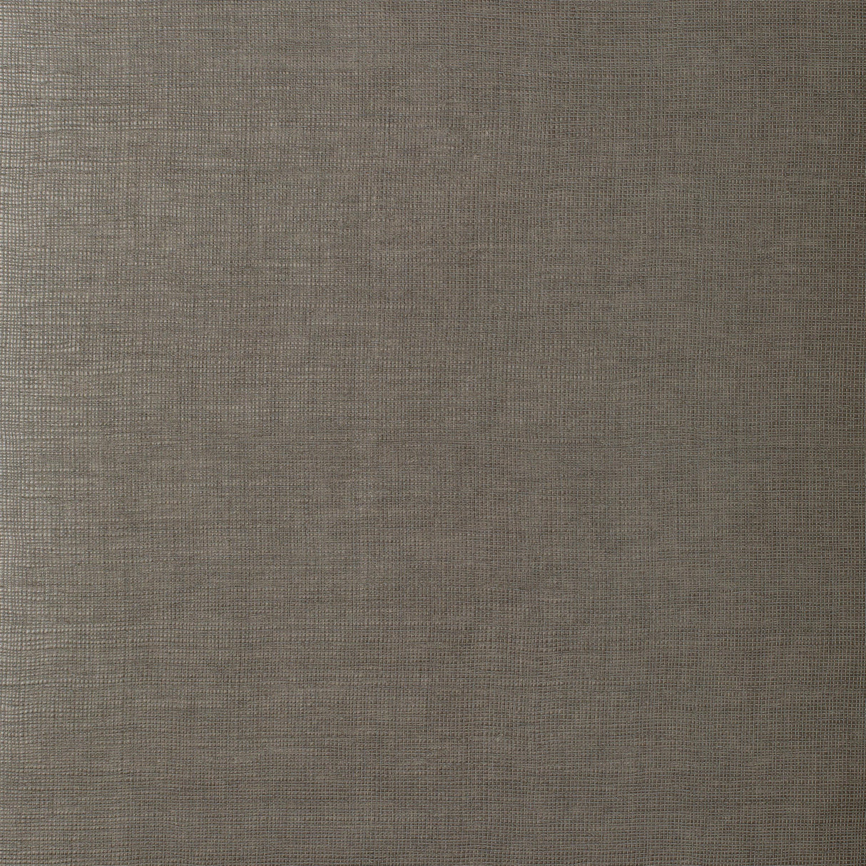 Kravet MUSE SILT Wallpaper