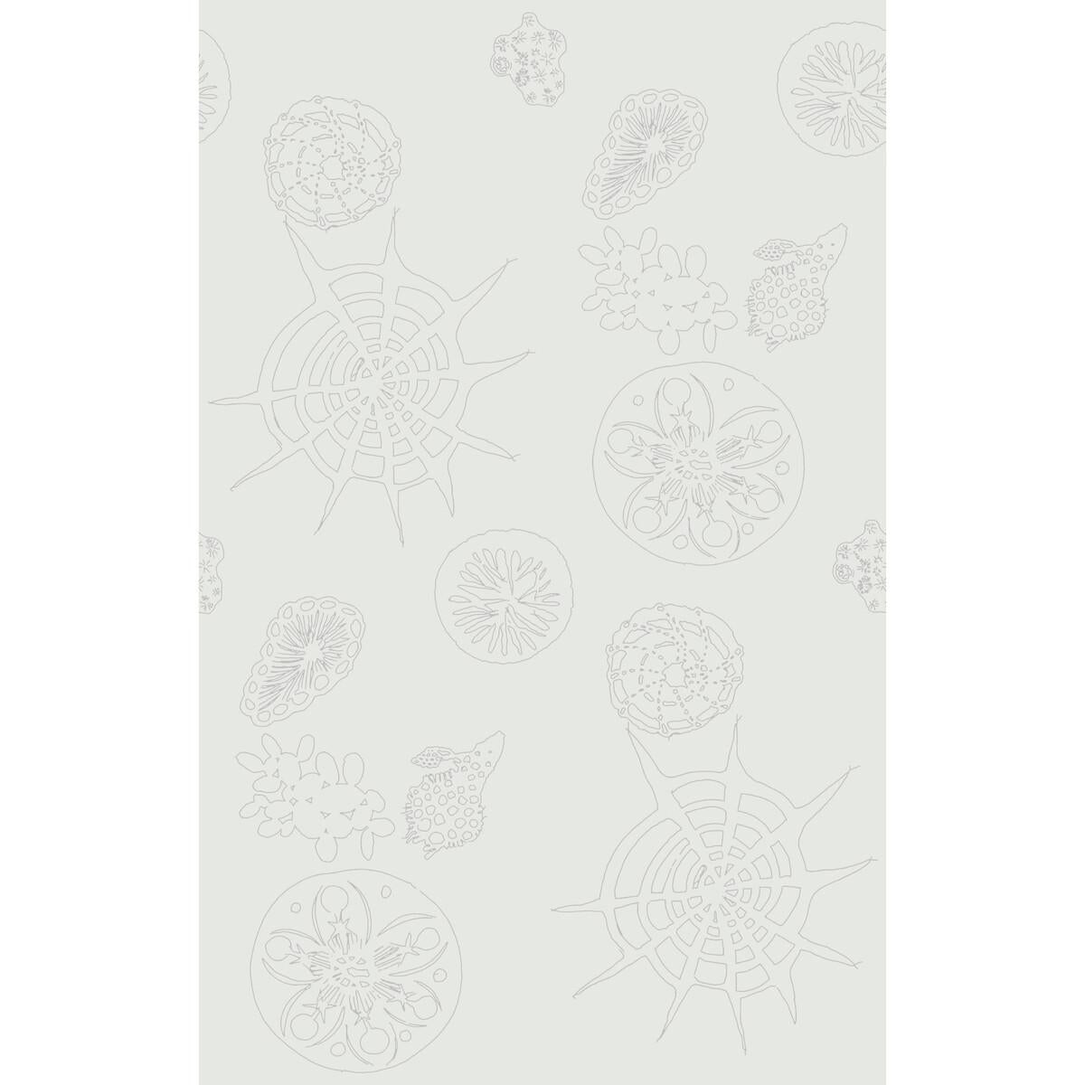 Kravet TELESCOPIC P MERCURY Wallpaper