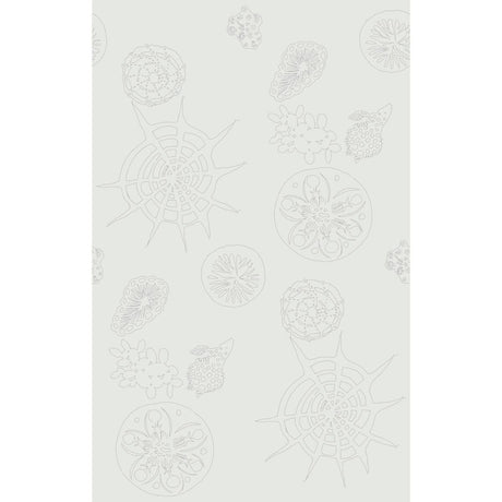 Kravet TELESCOPIC P MERCURY Wallpaper