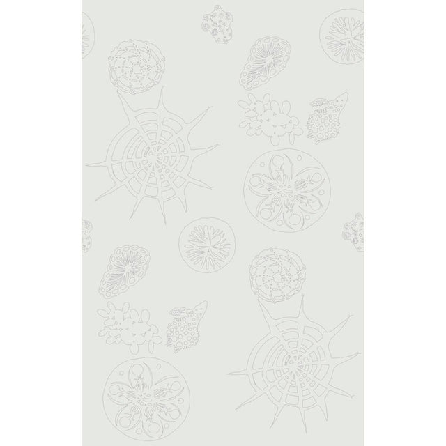 Kravet TELESCOPIC P MERCURY Wallpaper