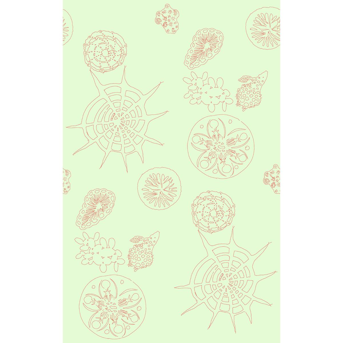 Kravet TELESCOPIC P CORAL SEA Wallpaper