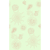 Kravet TELESCOPIC P CORAL SEA Wallpaper