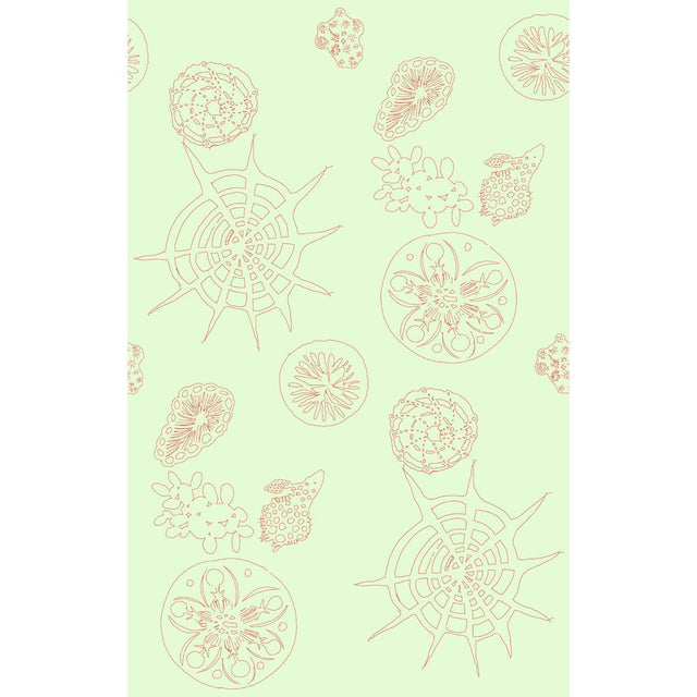 Kravet TELESCOPIC P CORAL SEA Wallpaper