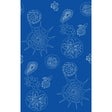 Kravet TELESCOPIC P NAUTICS Wallpaper