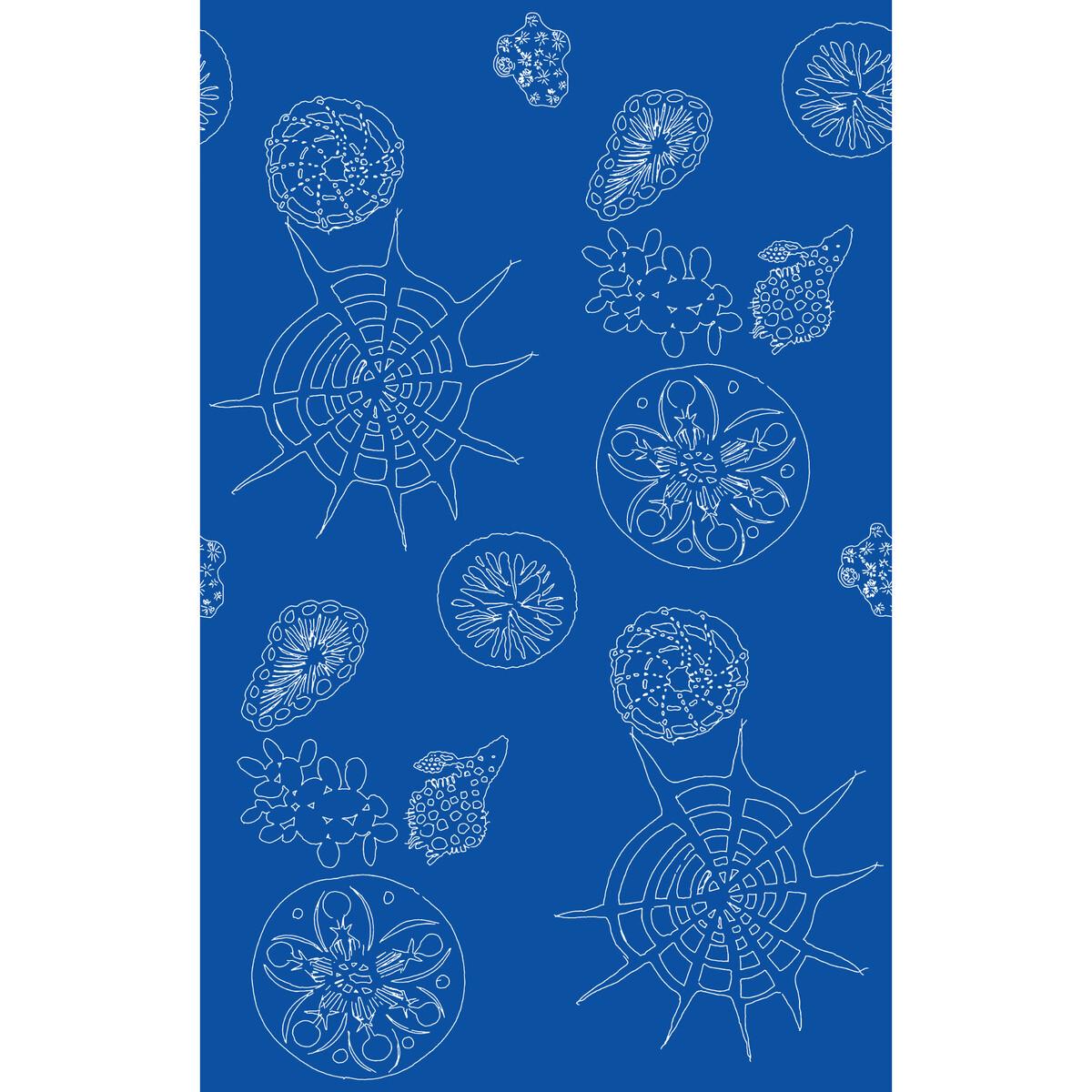 Kravet TELESCOPIC P NAUTICS Wallpaper