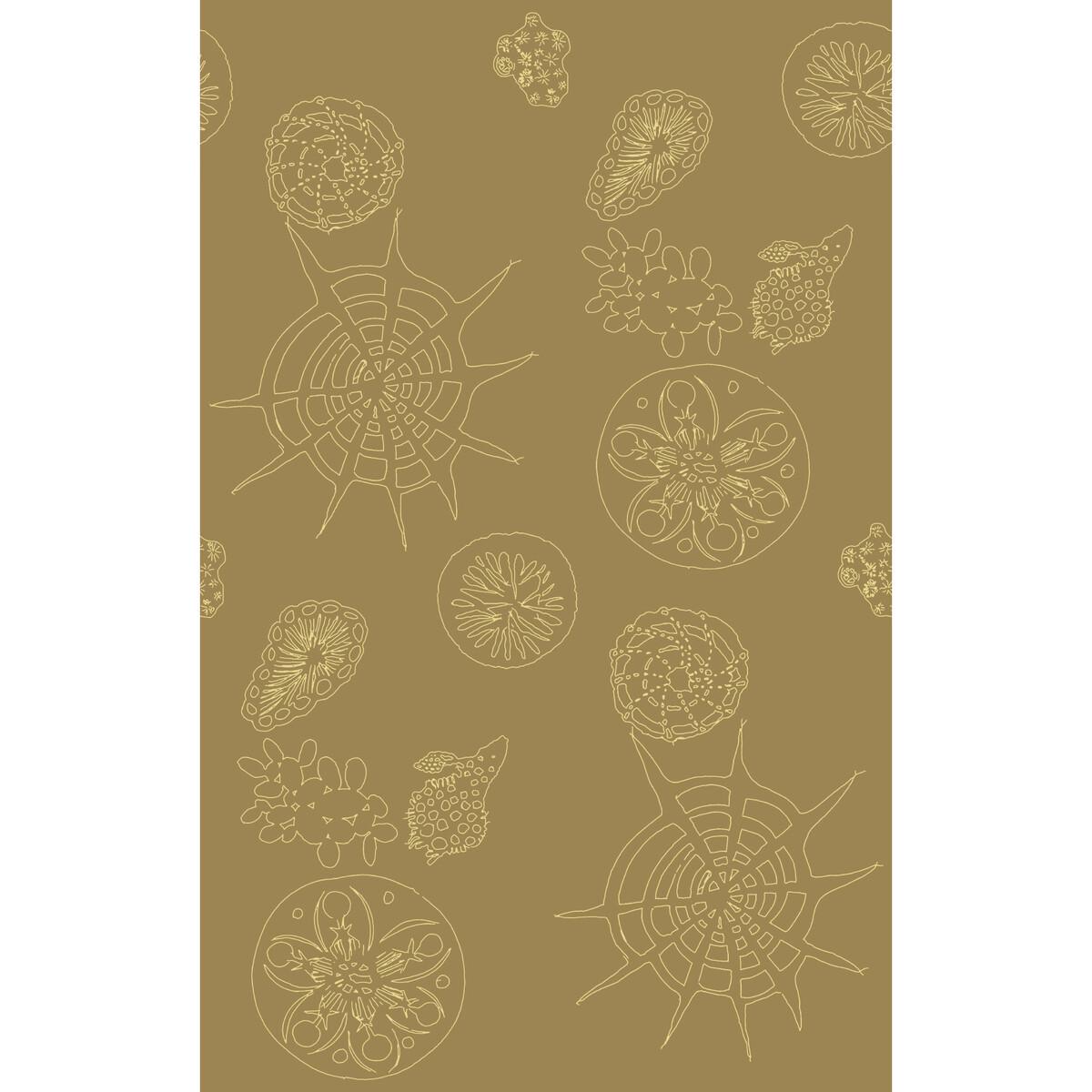 Kravet TELESCOPIC P SANDDOLLAR Wallpaper