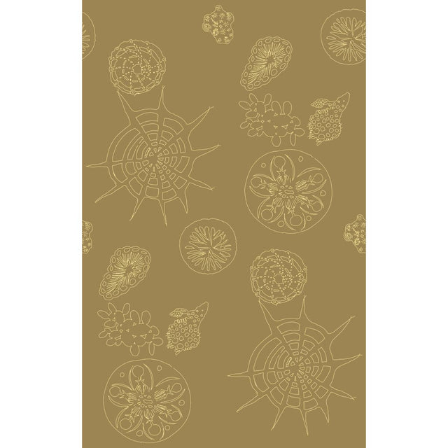 Kravet TELESCOPIC P SANDDOLLAR Wallpaper